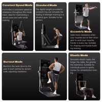 SmartFit Pro Vertical Gym