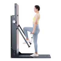 EliteTrainer Vertical Smart Gym